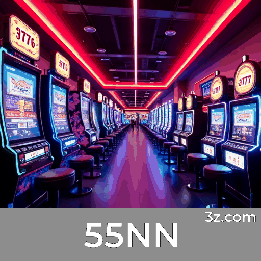 Experiência segura e profissional na plataforma 55NN