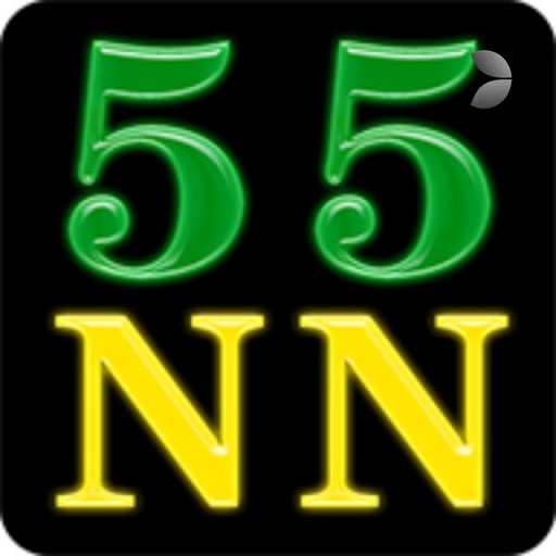 Experiência segura e profissional na plataforma 55NN